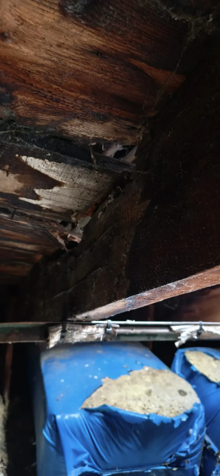 Couvreurs en intervention