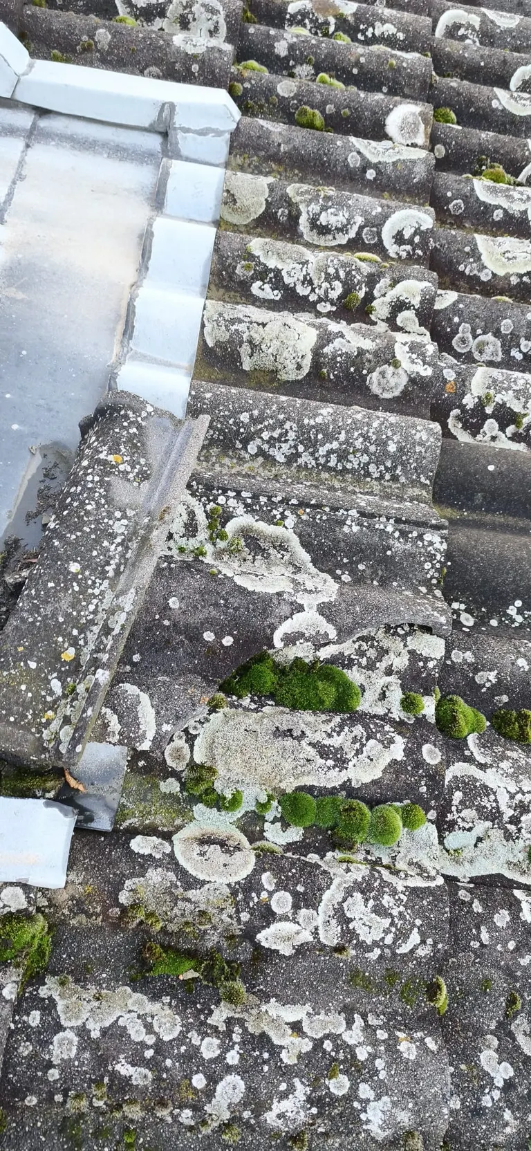 Couvreurs en intervention