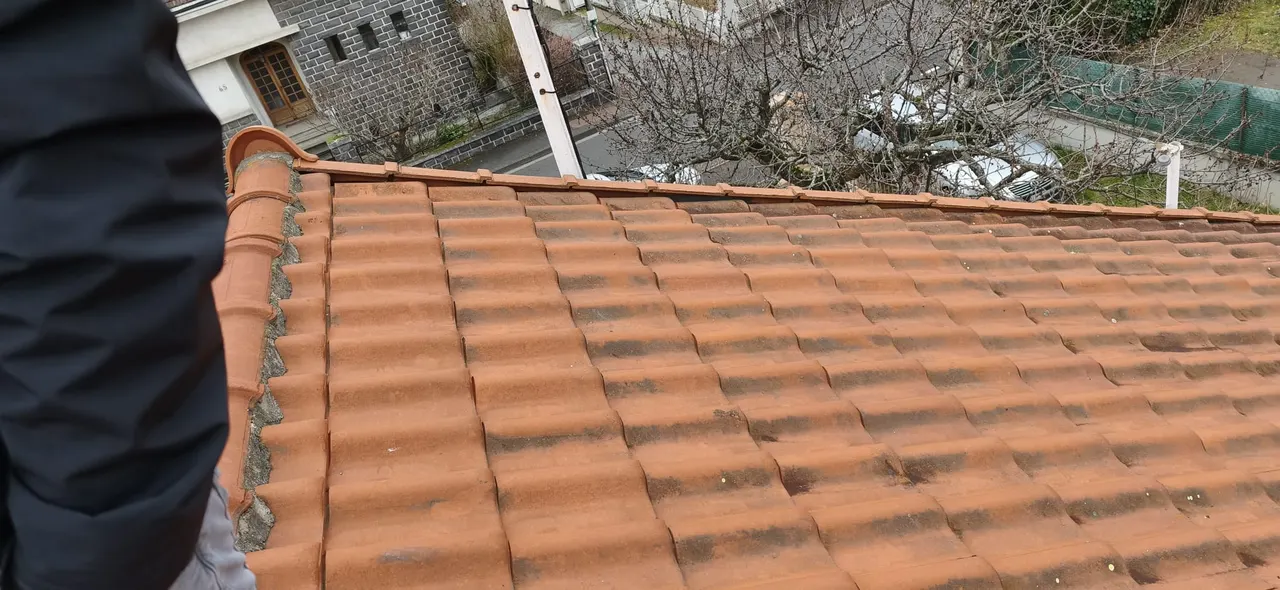 Roofing project in Clermont-Ferrand — Toit des Dômes