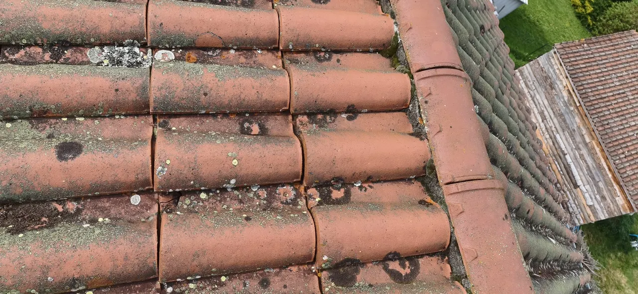 Roofing project in Clermont-Ferrand — Toit des Dômes
