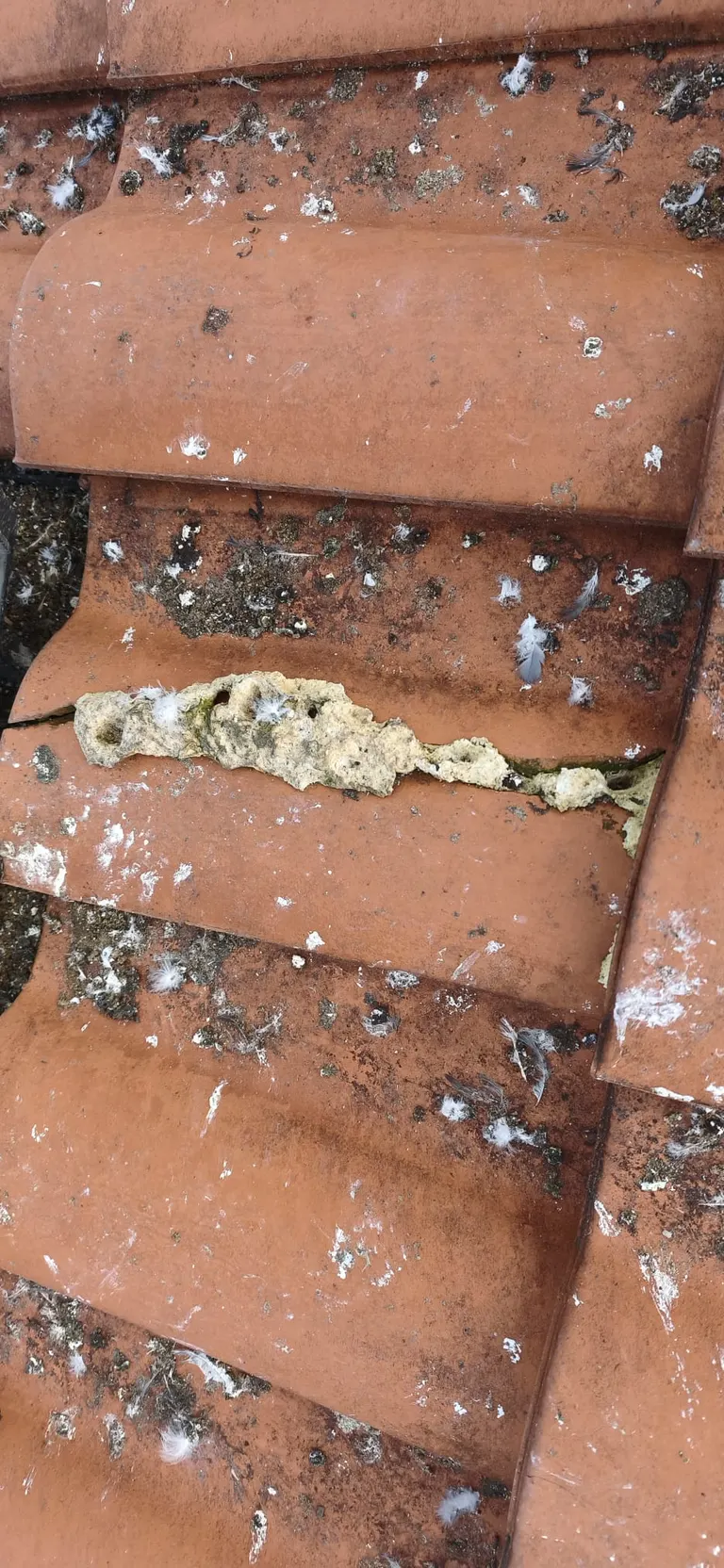 Couvreurs en intervention