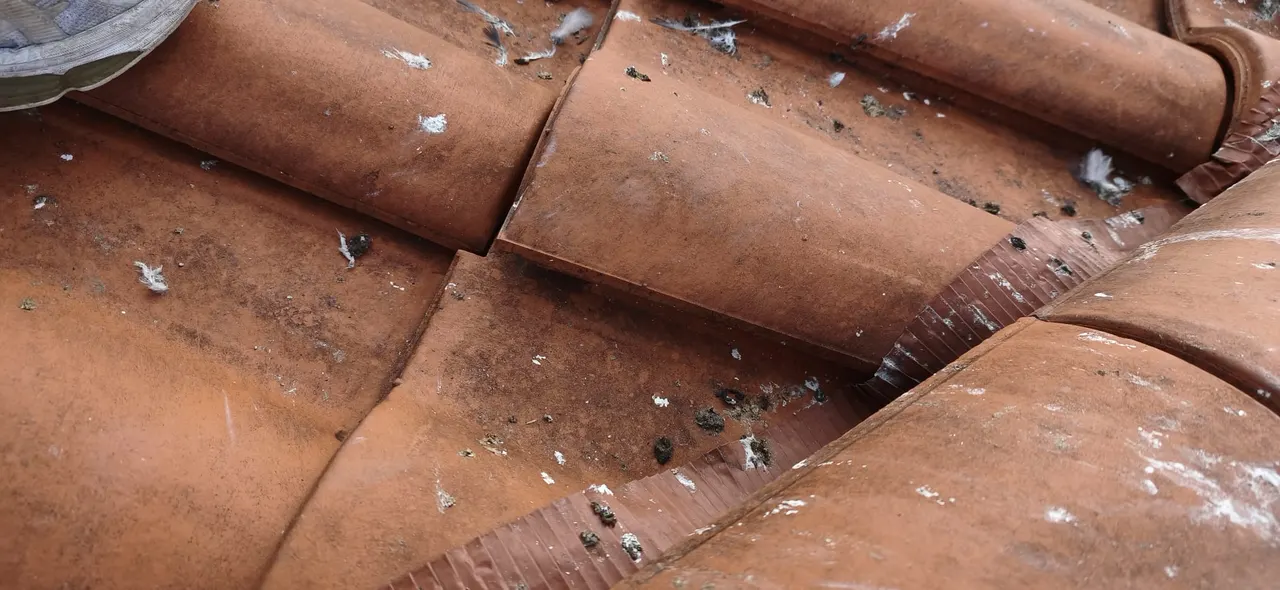 Vue d'ensemble de chantier toiture