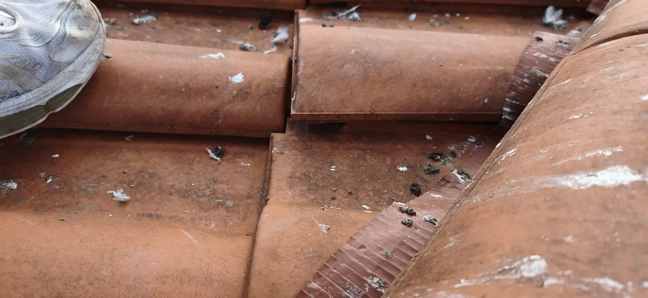 Roofing project in Clermont-Ferrand — Toit des Dômes