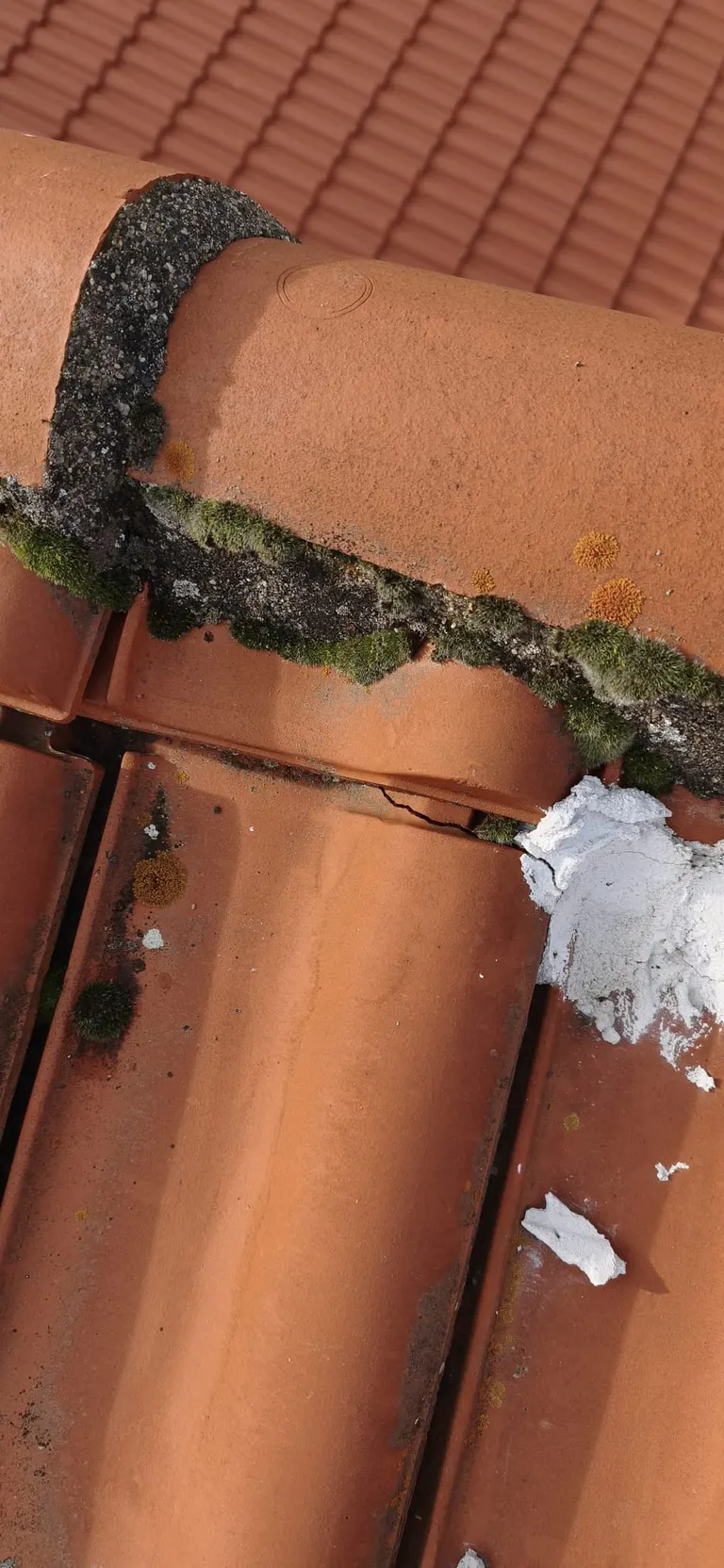 Détail de travaux de couverture par Toit des Dômes (30) — vue rapprochée