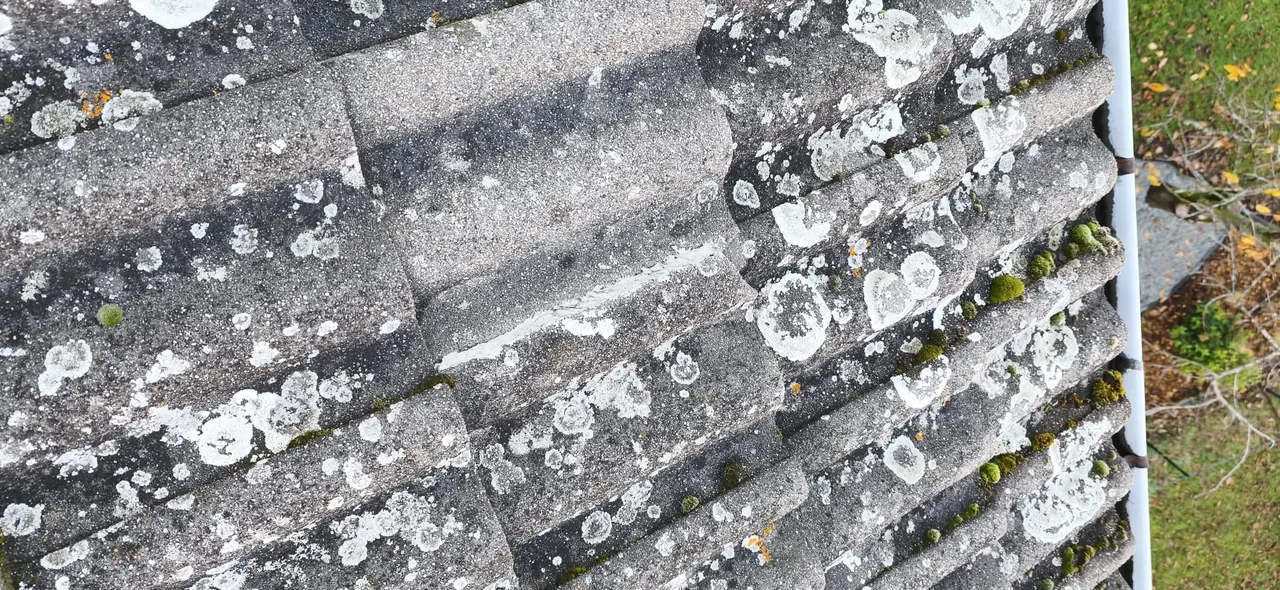 Détail de travaux de couverture par Toit des Dômes (40) — vue d'ensemble