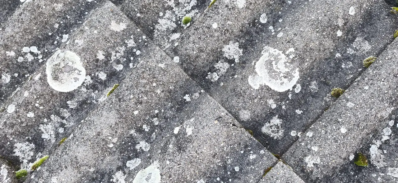 Détail de travaux de couverture par Toit des Dômes (41) — vue d'ensemble