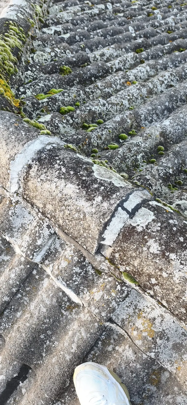 Détail de travaux de couverture par Toit des Dômes (43) — vue rapprochée