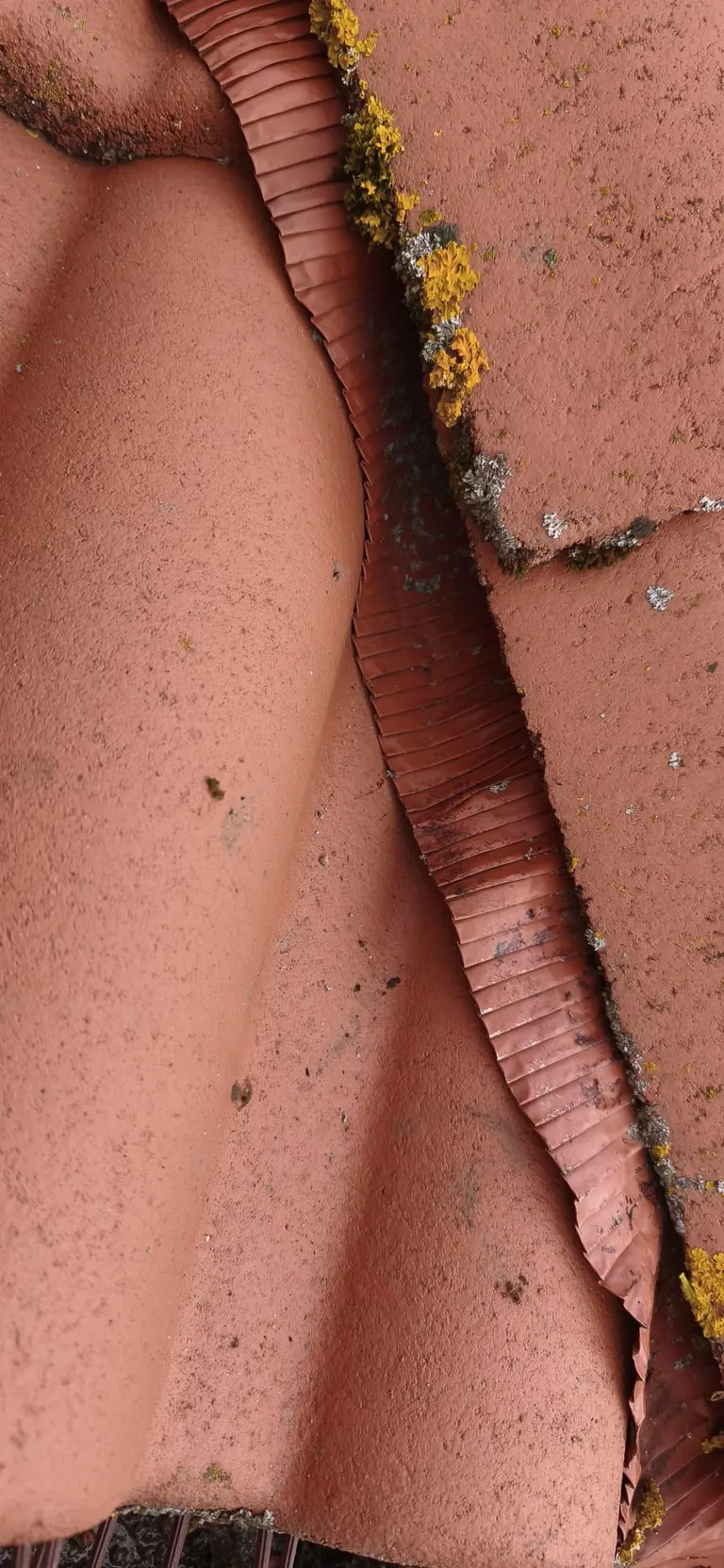 Détail de travaux de couverture par Toit des Dômes (50) — vue rapprochée