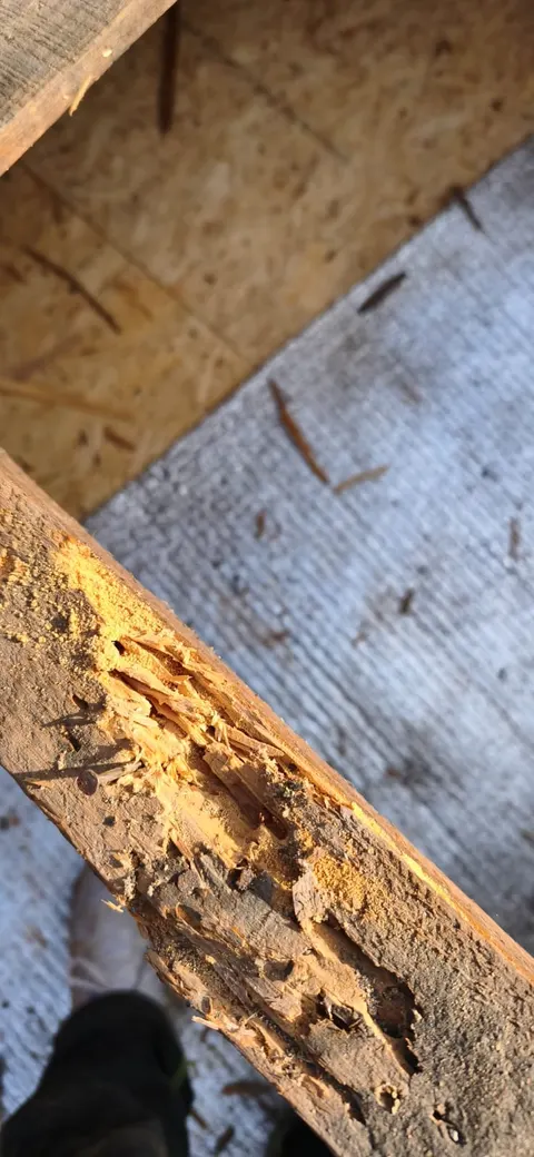 Équipe de couvreurs Toit des Dômes sur chantier (2) — vue rapprochée