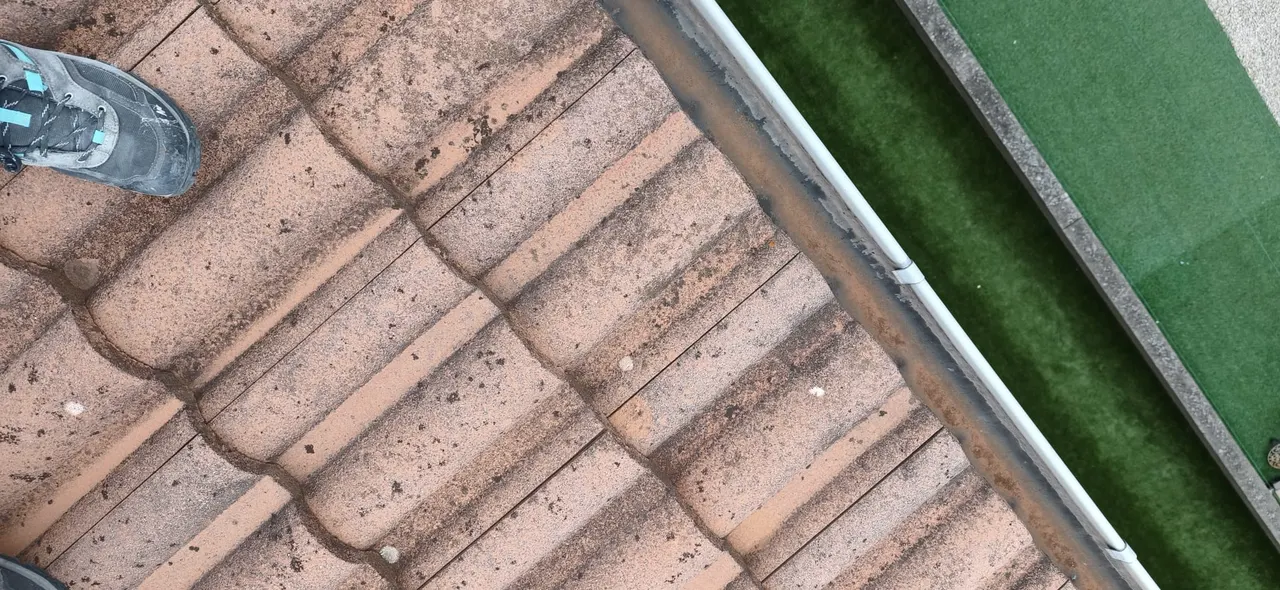 Nettoyage de toiture par Toit des Dômes (1) — vue d'ensemble