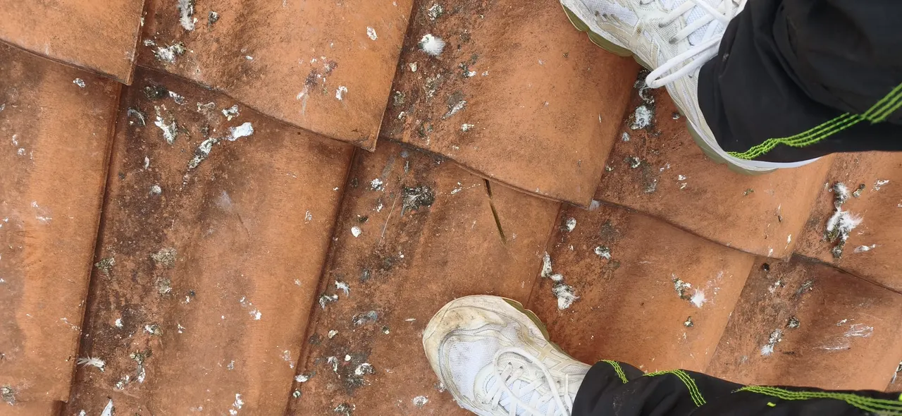 Nettoyage de toiture par Toit des Dômes (3) — vue d'ensemble