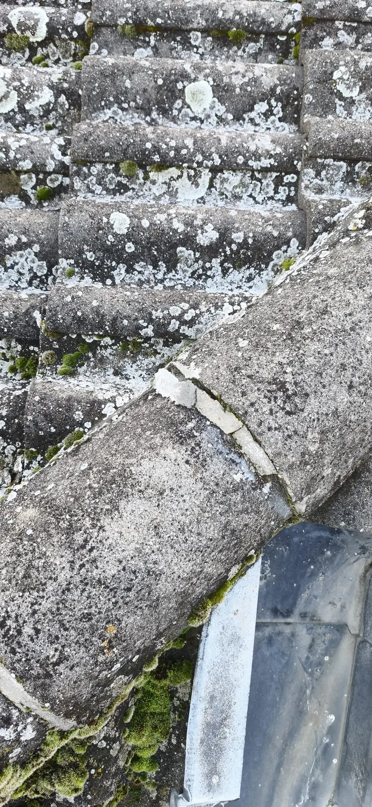 Nettoyage de toiture par Toit des Dômes (5) — vue rapprochée