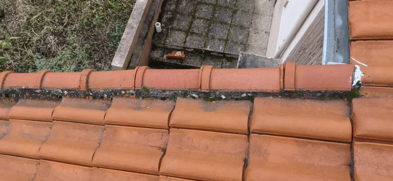 Toiture rénovée par Toit des Dômes à Clermont-Ferrand (40) — vue d'ensemble