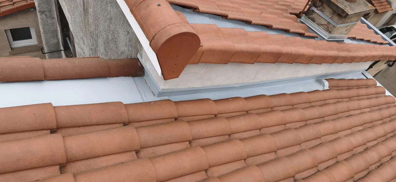 Toiture rénovée par Toit des Dômes à Clermont-Ferrand (41) — vue d'ensemble