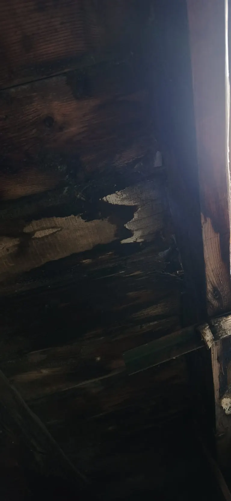 Réparation de toiture en cours par Toit des Dômes (12) — vue rapprochée