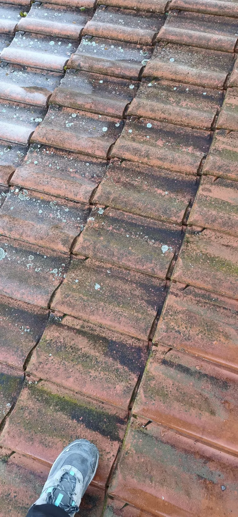 Couvreurs en intervention