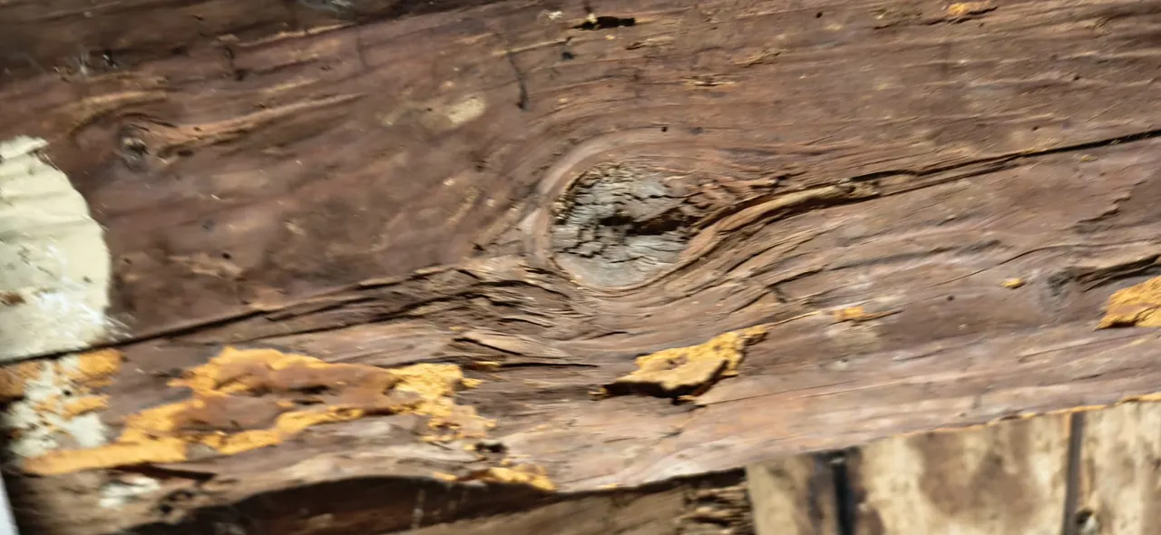 Vue d'ensemble de chantier toiture