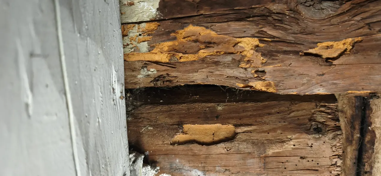 Vue d'ensemble de chantier toiture