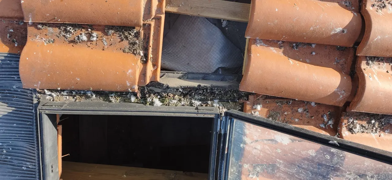 Vue d'ensemble de chantier toiture