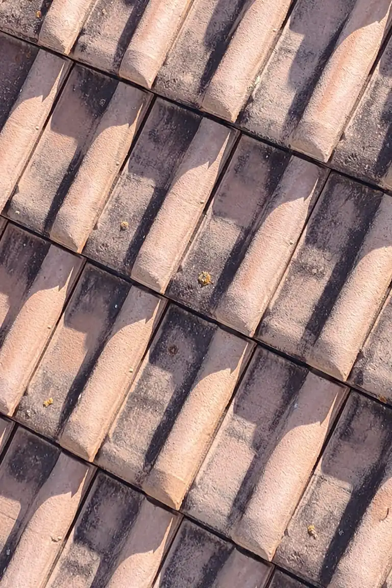 Roofing project in Clermont-Ferrand — Toit des Dômes
