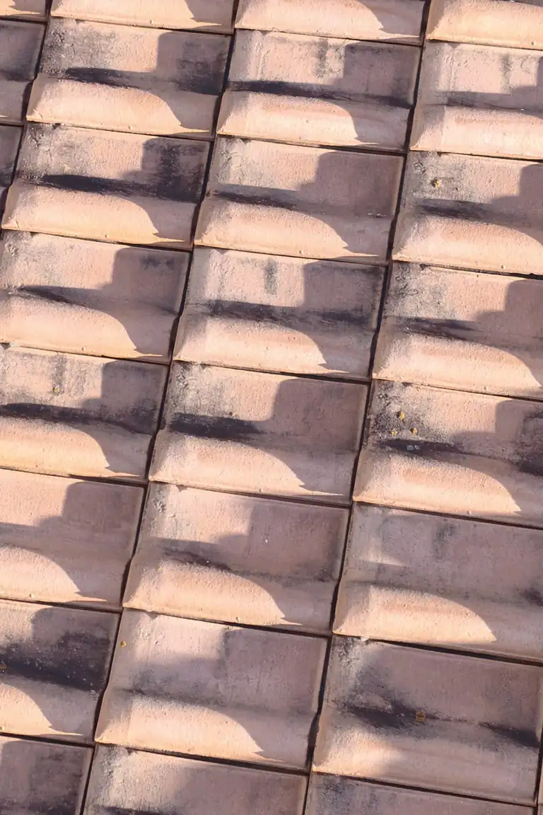 Roofing project in Clermont-Ferrand — Toit des Dômes