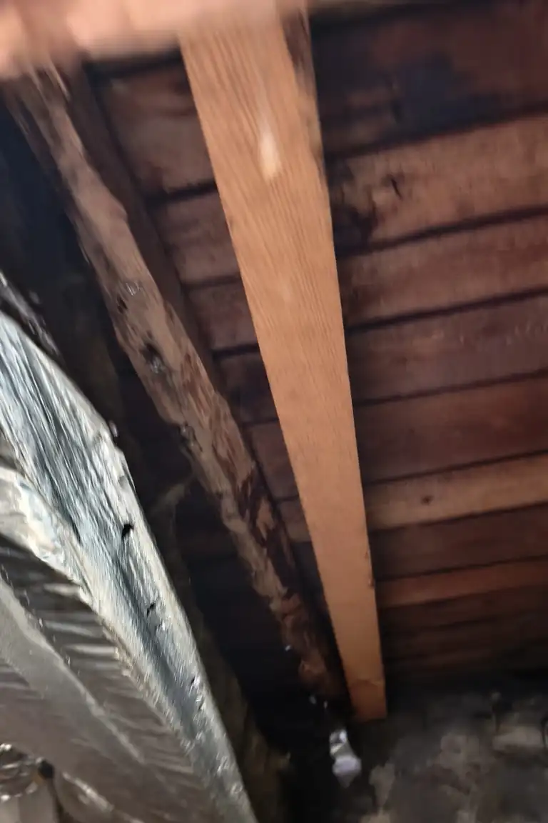 Roofing project in Clermont-Ferrand — Toit des Dômes