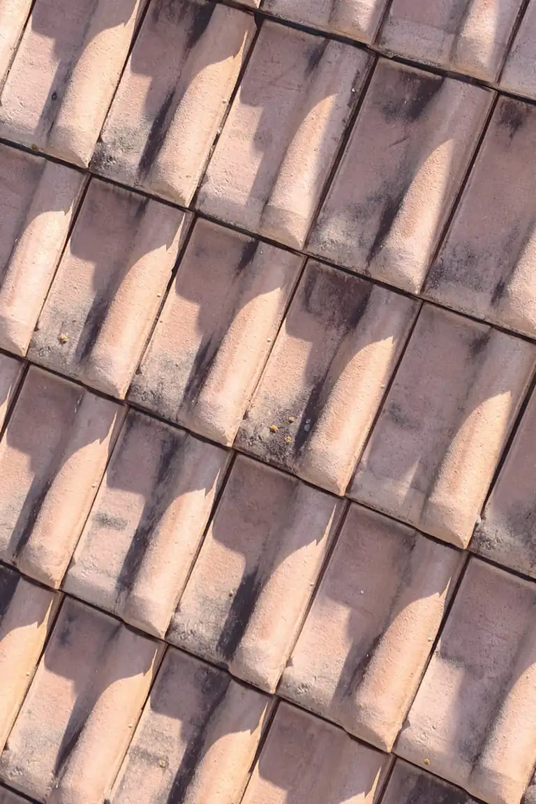 Roofing project in Clermont-Ferrand — Toit des Dômes