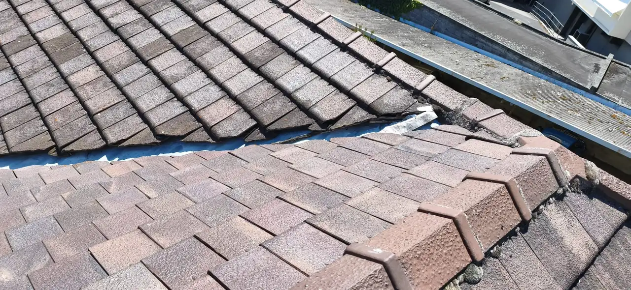 Roofing project in Clermont-Ferrand — Toit des Dômes