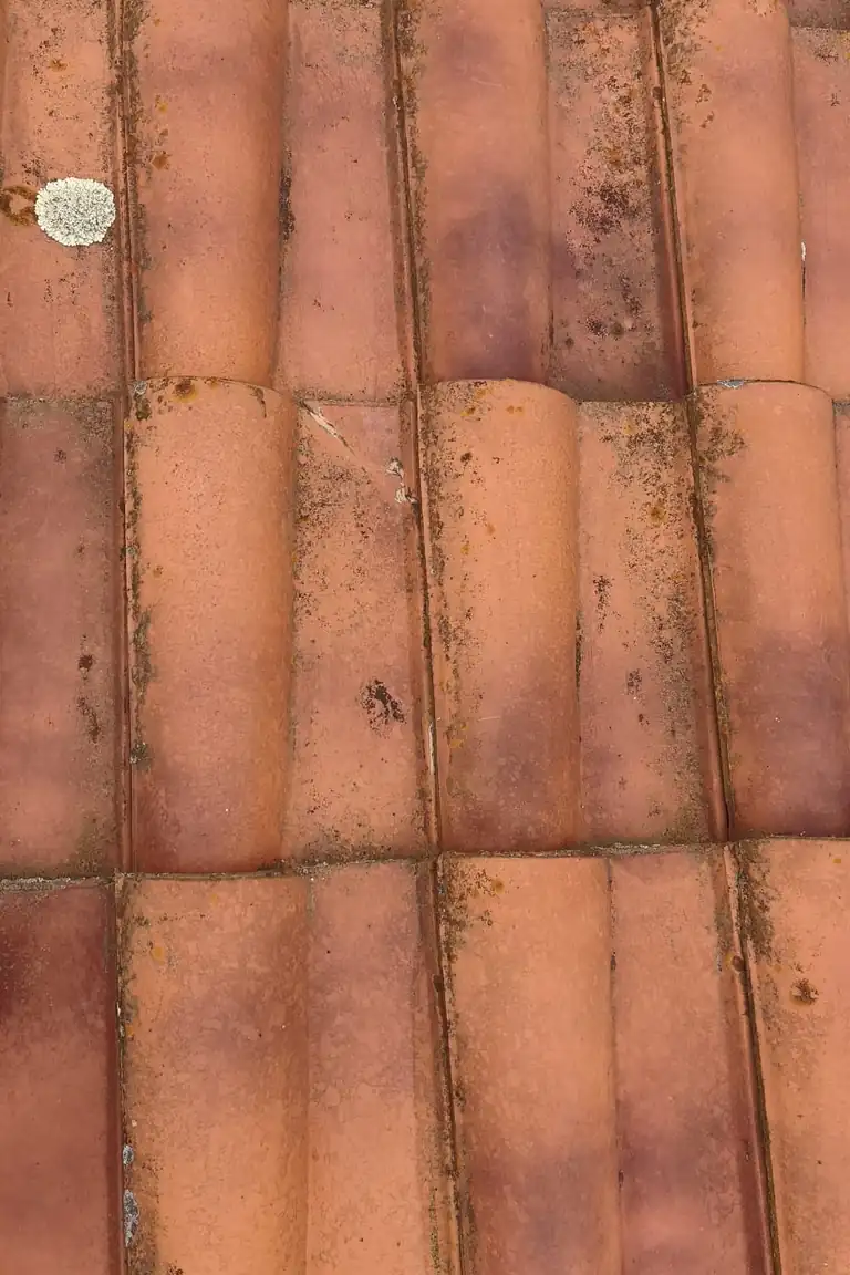 Roofing project in Clermont-Ferrand — Toit des Dômes